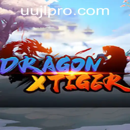 Discovering DragonXTiger: An Immersive Adventure